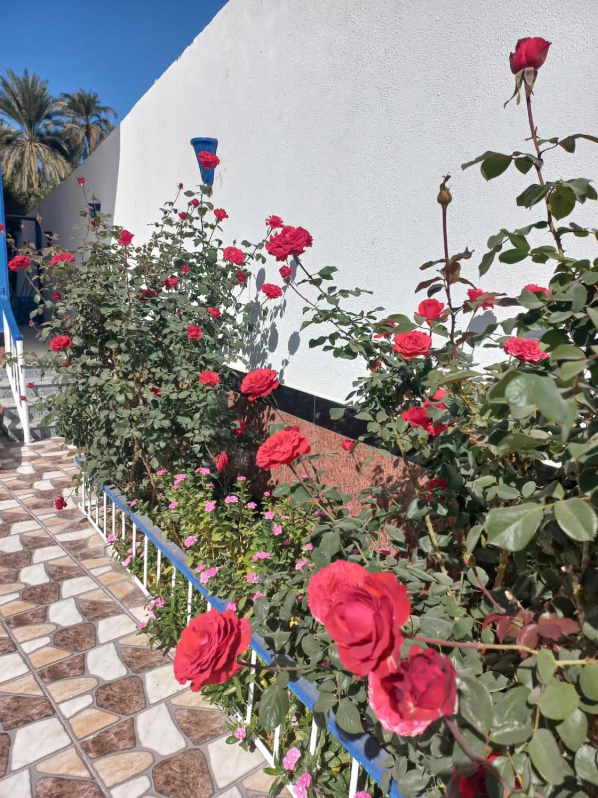 Apartament Kaslan