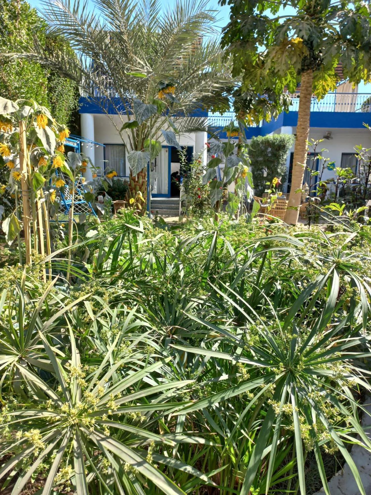 Kaslan Apartament Luxor